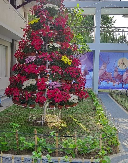 Berias menyongsong hari Natal 2019