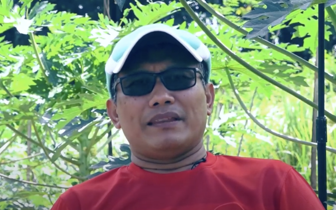 Kedaulatan Pangan